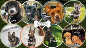 dog park ridgefield wa