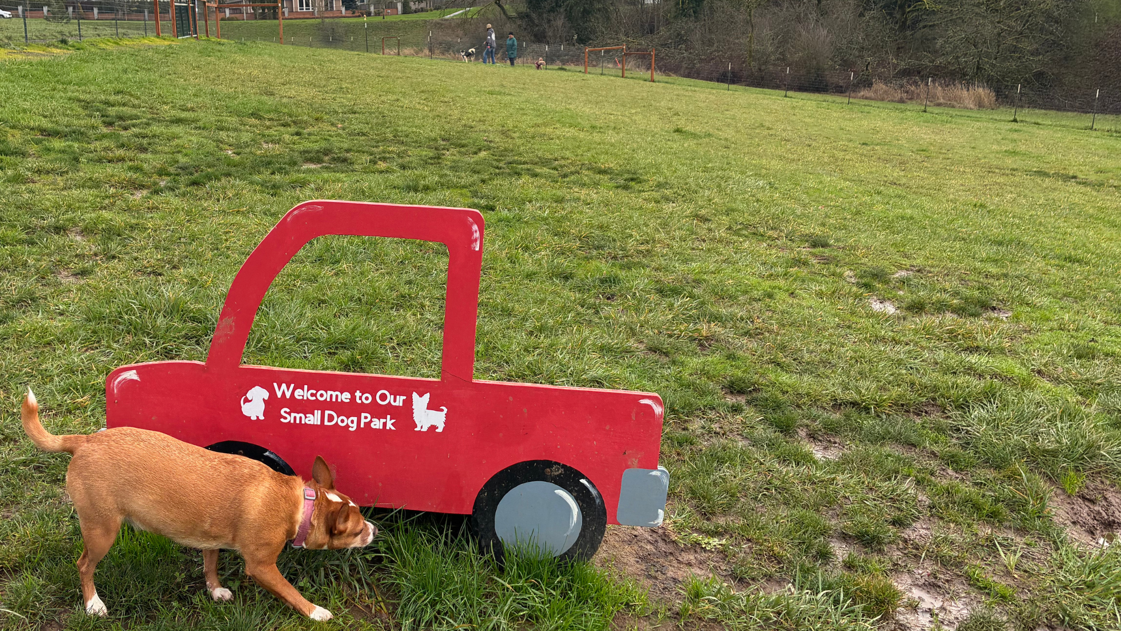 small dog park in Ridgefield WA