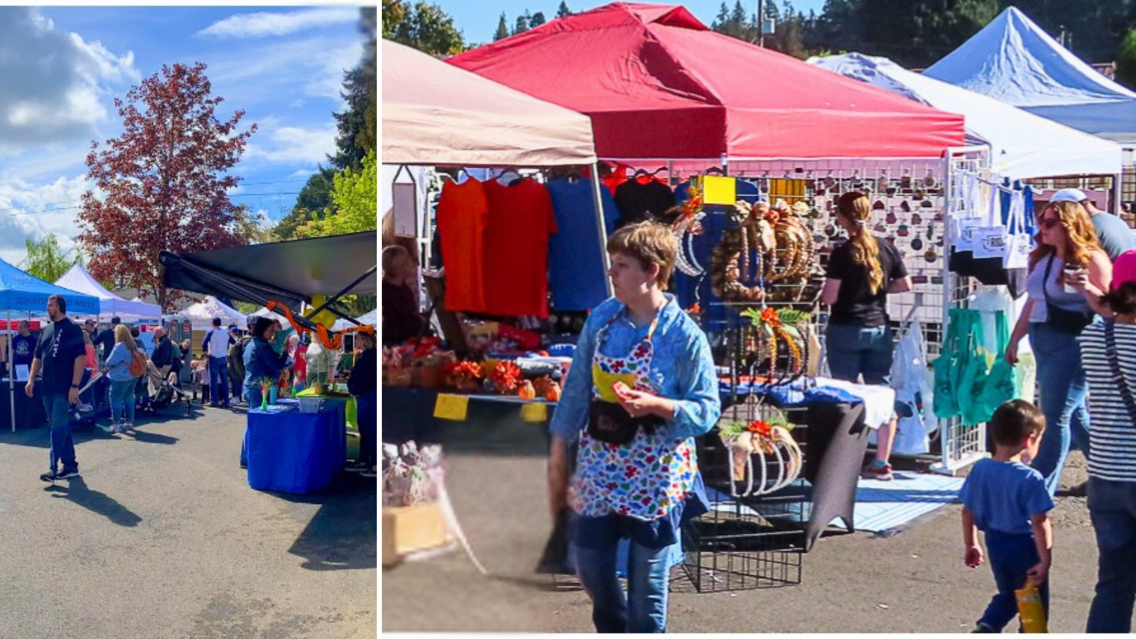 first saturday davis  park