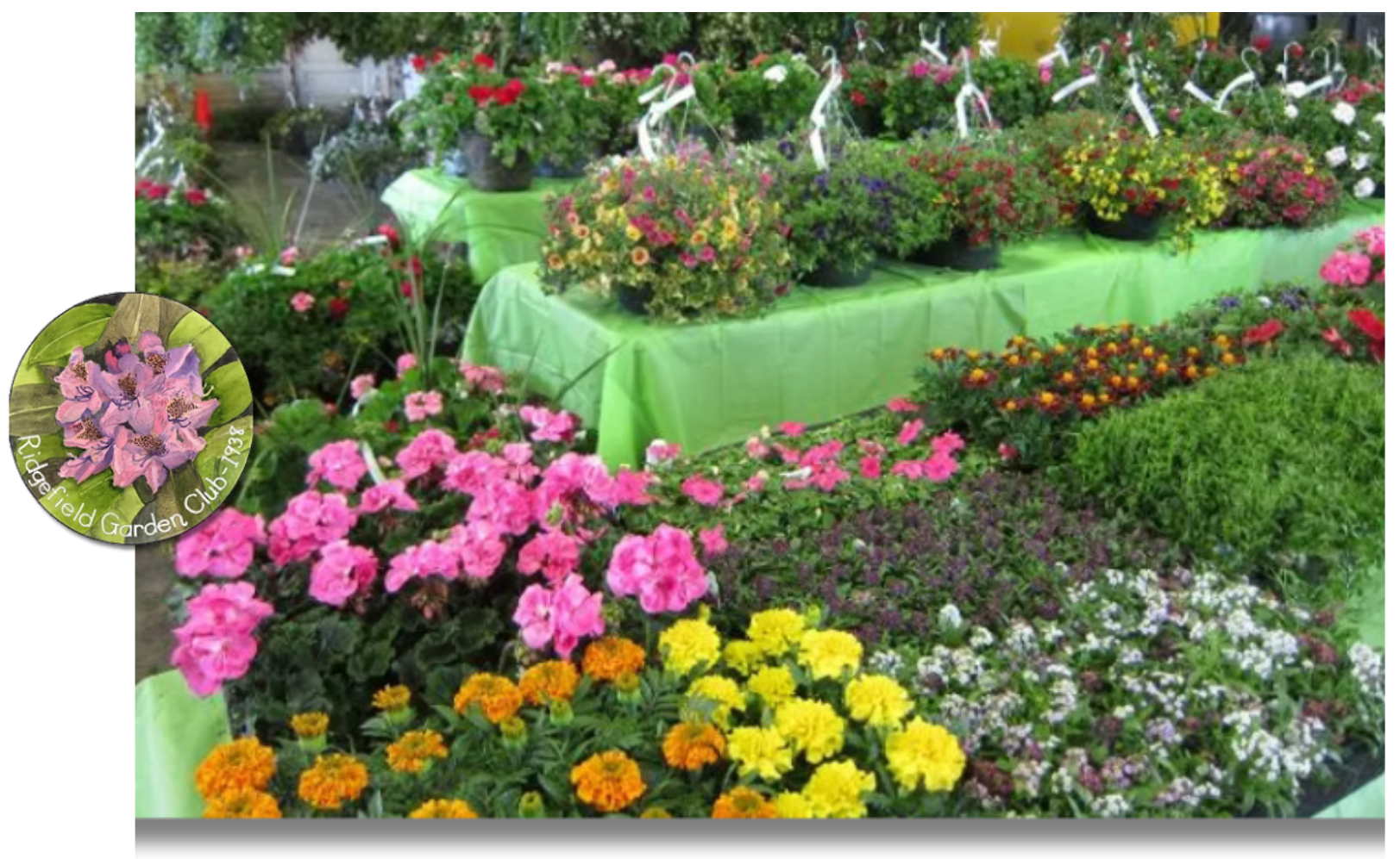 plant sale ridgefield wa