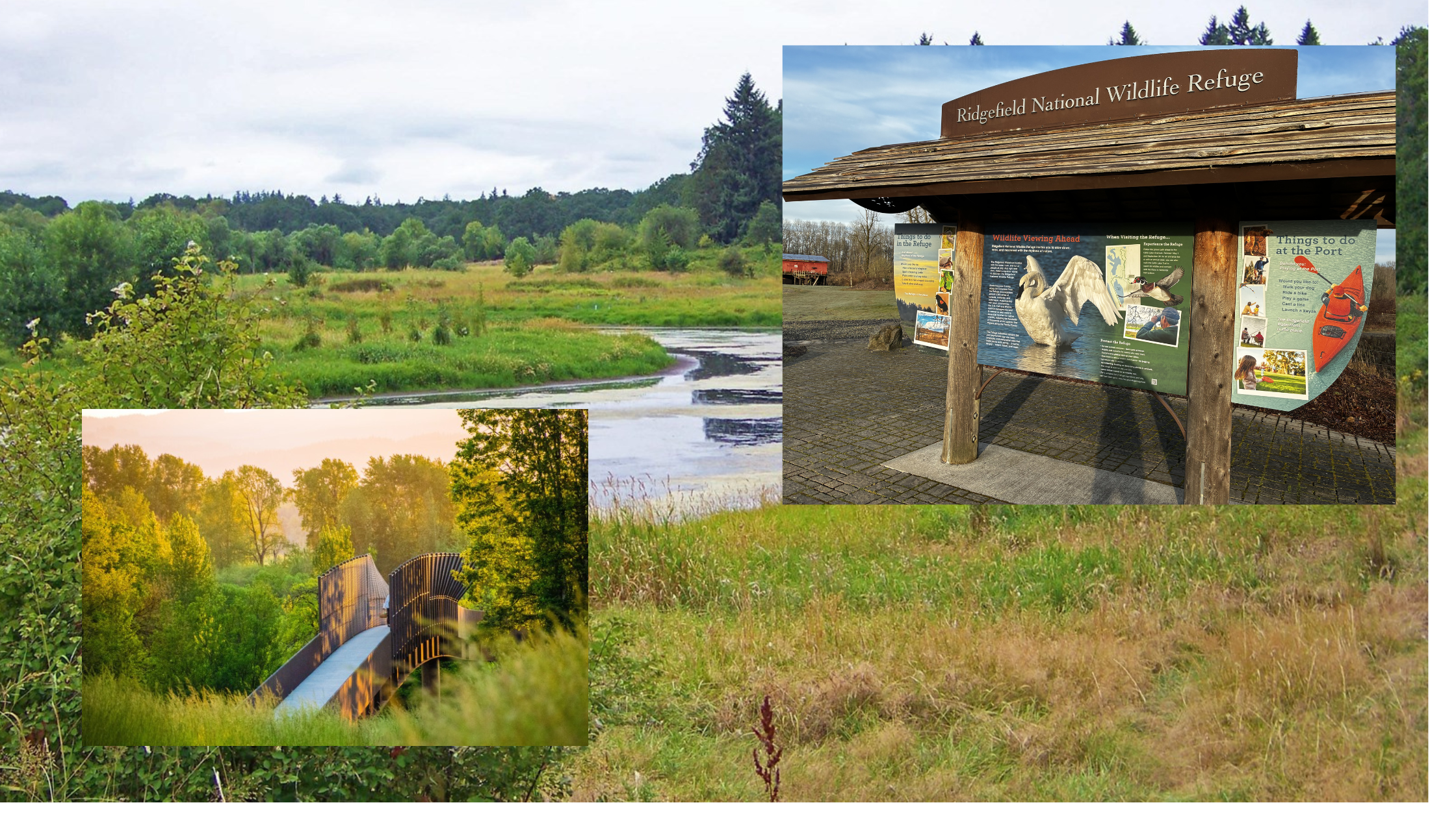 ridgefield wildlife refuge