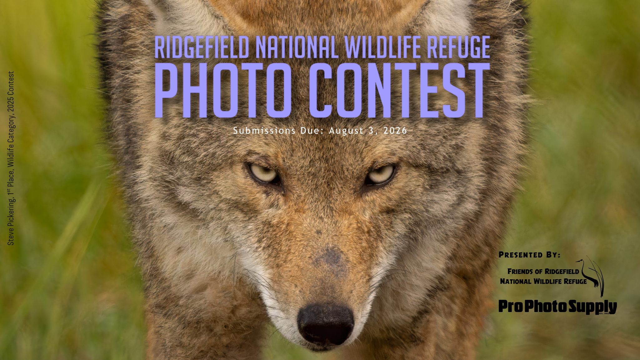 2026 Ridgefield National Wildlife Refuge Photo Contest
