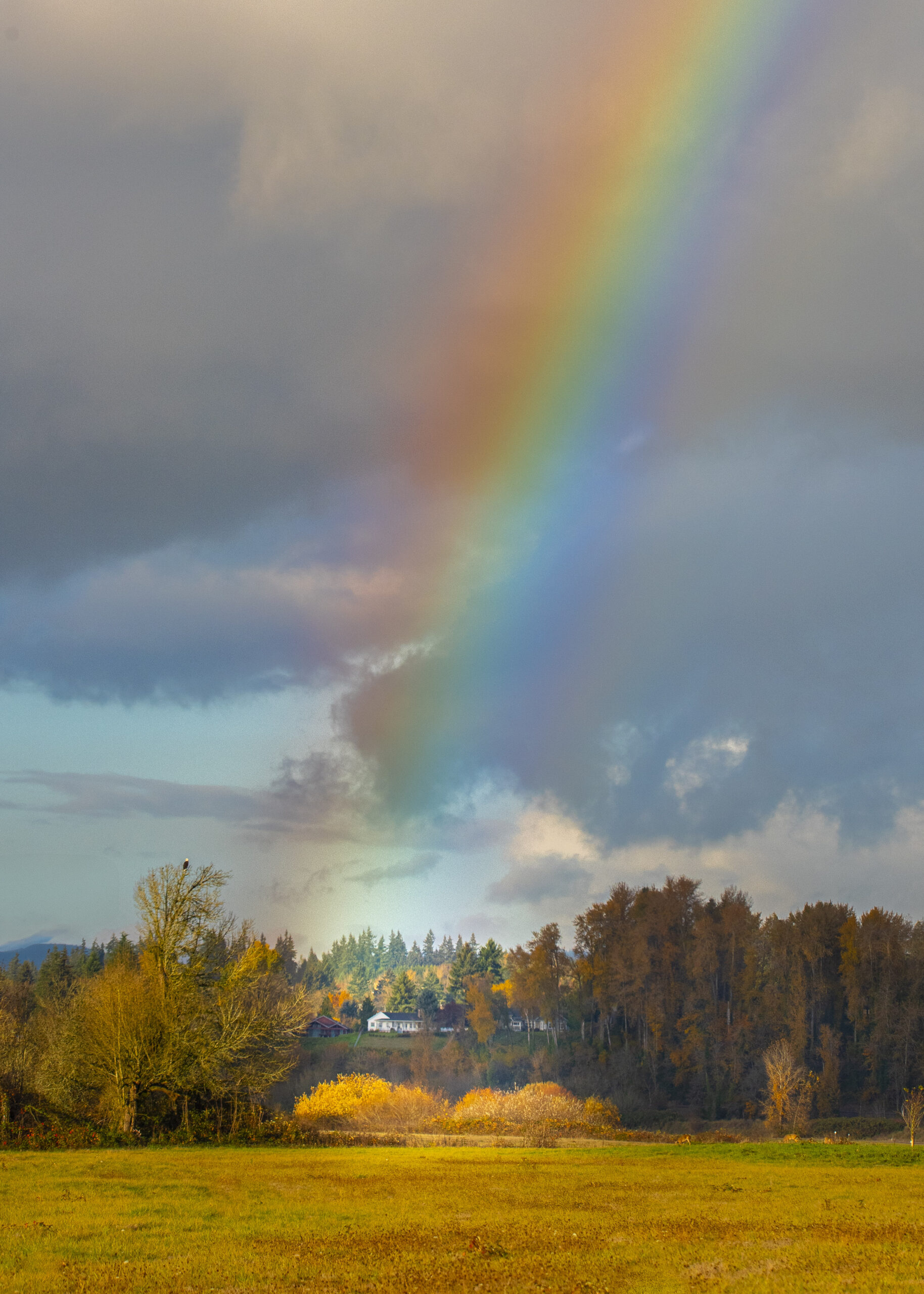 Rainbow on the River S by Mary Bucher Ross, 2025 Landscape and Structures winner