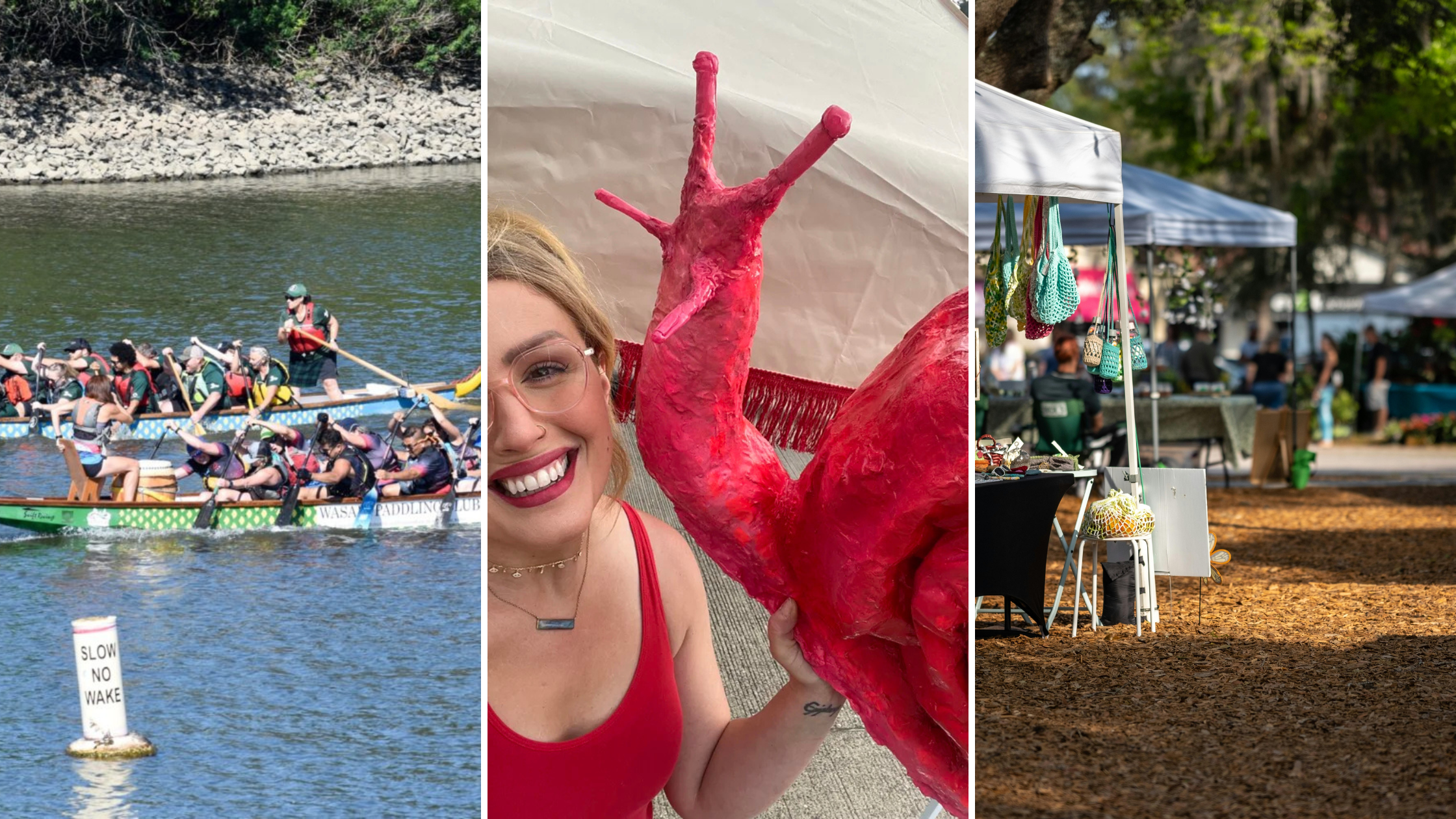 Ridgefield Day of Festivals — dragon boat races and featured artist Rose Jubb