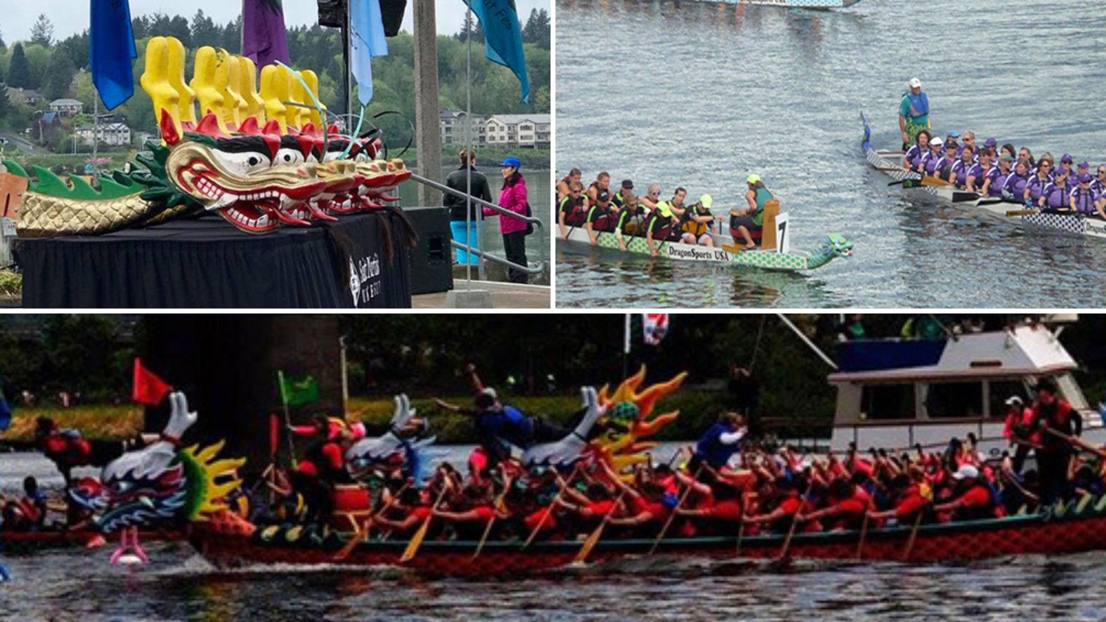 Dragon boat teams racing on Lake River at the Paddle for Life festival in Ridgefield, Washington