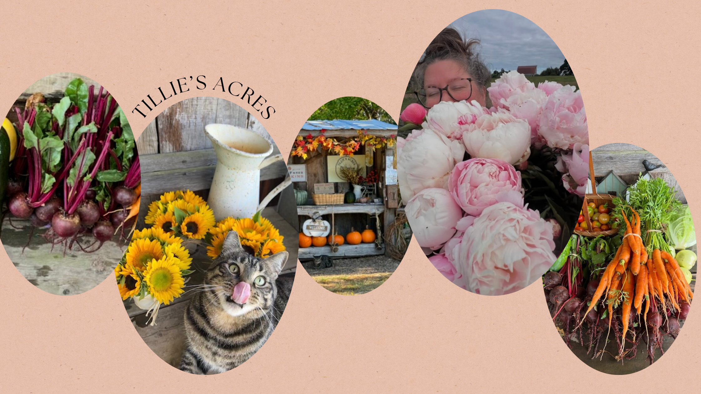 Tillie's Acres honor farm stand in Ridgefield