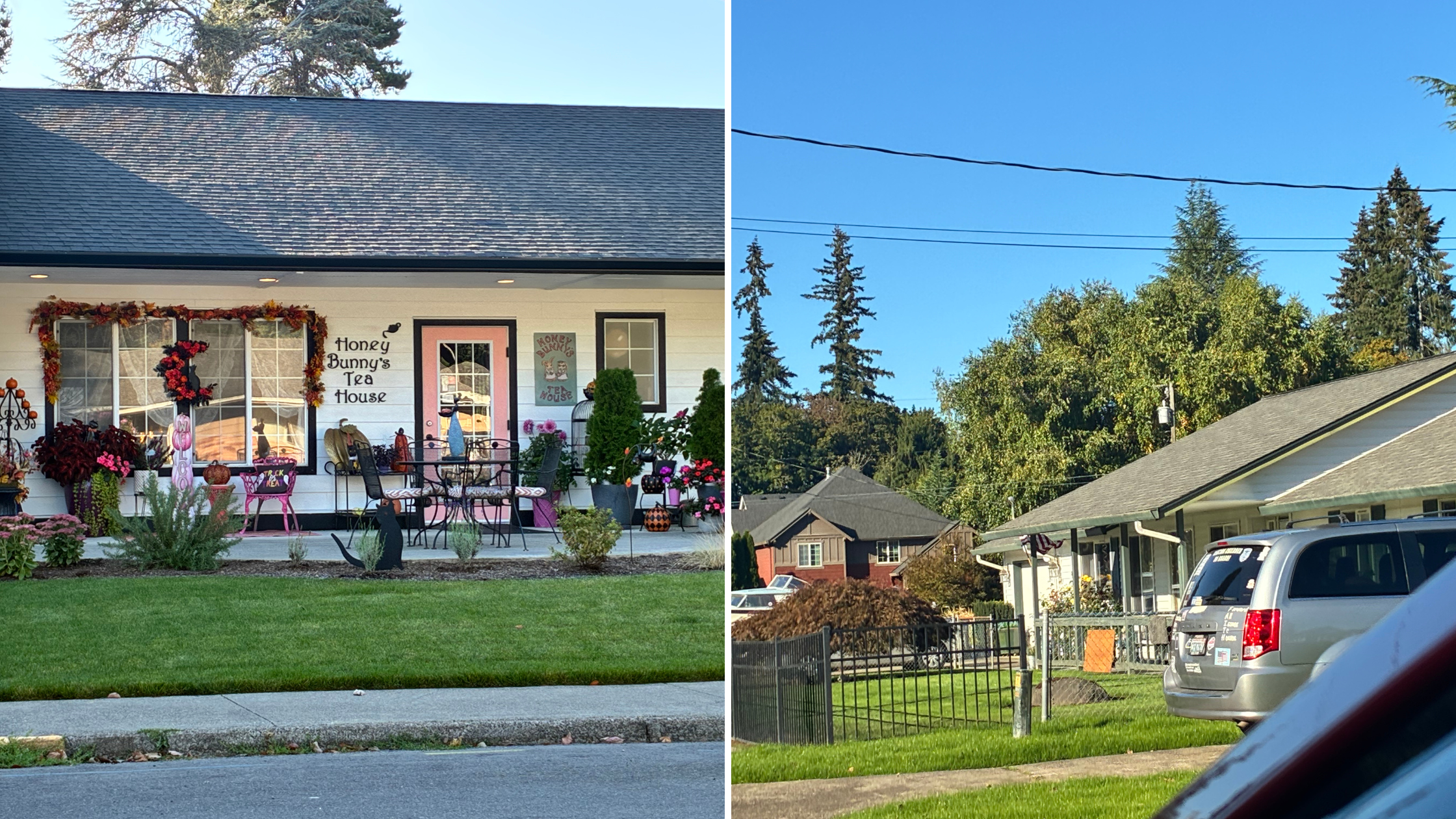 New sod at the completed creosote cleanup site near Myrtle's Tea House in Ridgefield