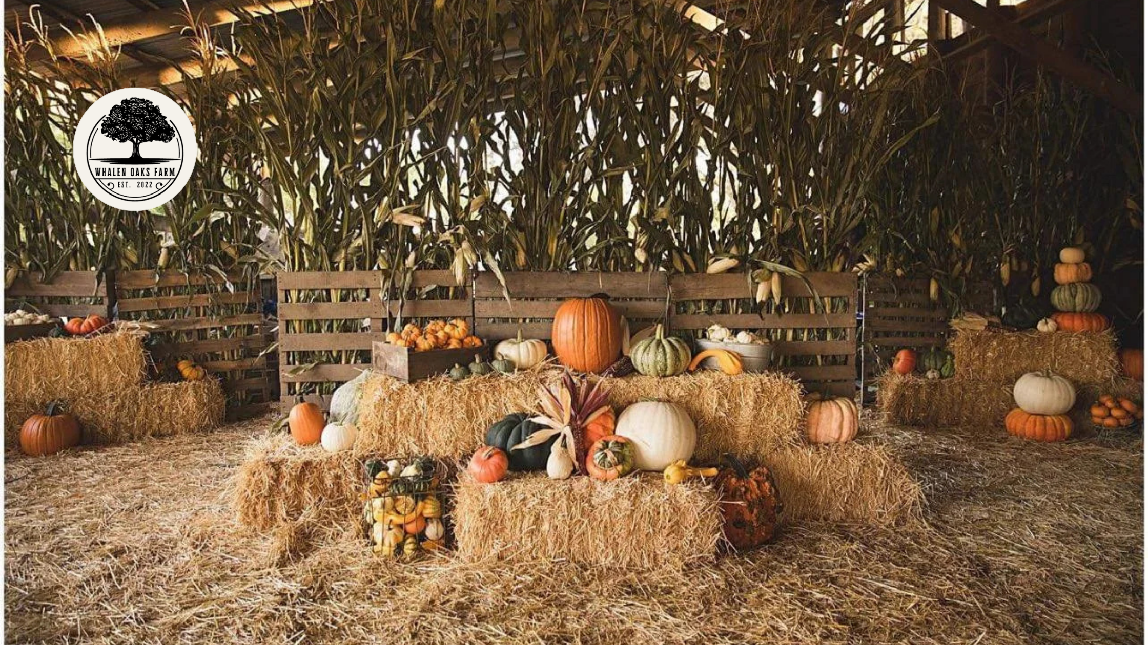Whalen Oaks Farms